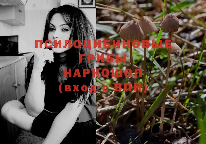 Псилоцибиновые грибы Magic Shrooms  сколько стоит  Лабинск 